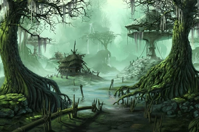 Swamp Wallpapers