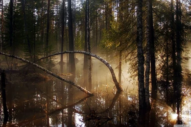 The Rockies Wallpapers