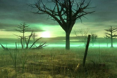 My Free Wallpapers Fantasy Wallpapers : Sick Swamp