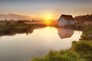 Swamp Sunset Wallpaper.jpg