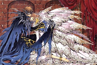 Tsubasa Reservoir Chronicle Series Anime Couple Wings Sakura ...