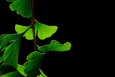 Free Download Wallpapers HD : July 2015