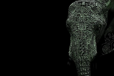 Download Tattoo Elephant Artistic Wallpapers Black Backgrounds Free ...