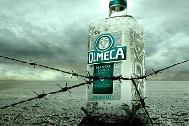 Olmeca Tequila By Saywhaat On DeviantArt