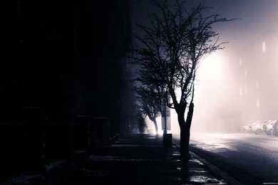 Lost In The Shadows HD Wallpapers New HD Wallpapers