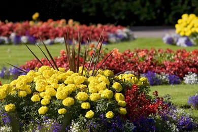 Gallery For Wallpapers Of Gardens With Flowers