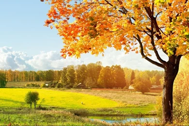 Fall Wallpapers Hd HD Wallpapers Pretty
