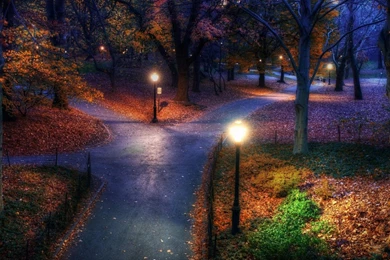 Download Wallpapers Central Park In The Fall, New York (1600 X 900 ...