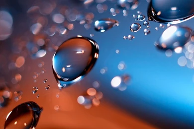 Best Wallpapers STAY044