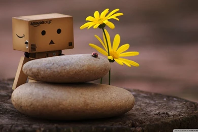 Gallery For Zen Widescreen Desktop Wallpapers