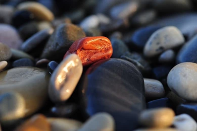 Pebbles Wallpapers Photography Wallpapers