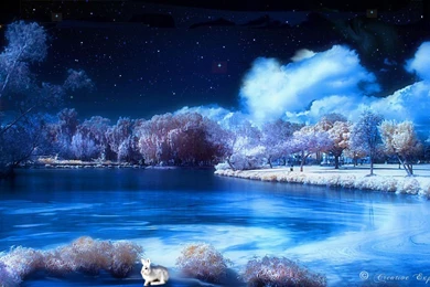 Gallery For Beautiful Winter Wallpapers Hd