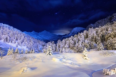 Winter Landscape Wallpapers Full HD
