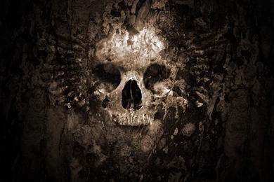 Skull wallpaper tumblr hd.jpg