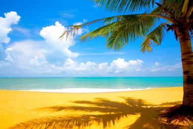 Free HD Beach Wallpapers Wallpapers Cave