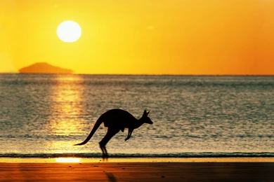 Australia Beaches Wallpaper.