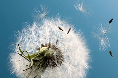 Android Wallpapers Hd – Androidwallpaper.info