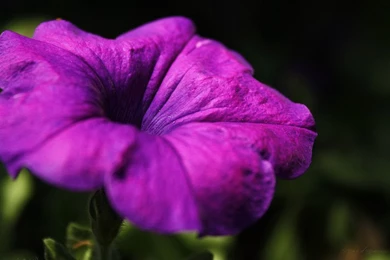 HD Wallpapers 720p Wallpapers Cave