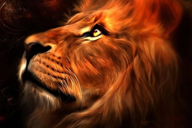 Top Designs For January 2015