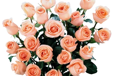 Bouquet Flowers Wallpapers HD (22)