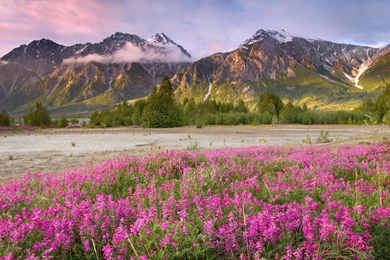 Free Spring Desktop Wallpaper Backgrounds Wallpapers Cave