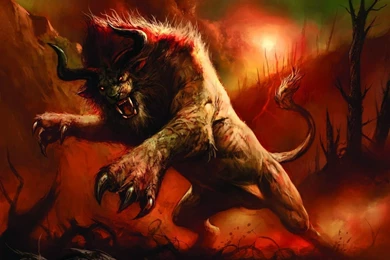 Lion African Animal King Of The Jungle High Definition Wallpapers ...