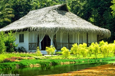 Wonderful HD Wallpapers Free Download Best HD Desktop Wallpapers ...