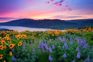 Nature Backgrounds, Amazing Landscape, Wallpapers Of Nature ...