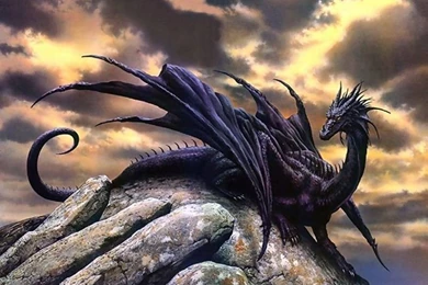 1597 Dragon HD Wallpapers