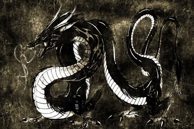 Water Dragon Wallpapers HD Images New