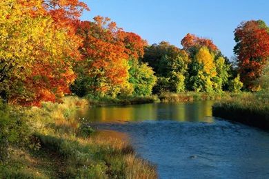 Pond In Autumn Landscape Free Desktop Backgrounds Free Wallpapers ...