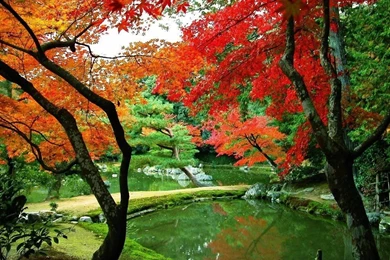 YouWall Autumn Landscape Wallpapers Wallpaper,wallpapers,free ...