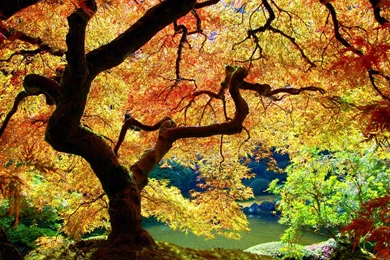 Autumn Landscape Wallpapers