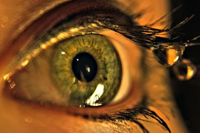 Eye Of Horus Desktop Backgrounds Wallpapers Hd < Images & Galleries