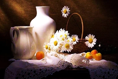 Still Life Deedeeflower Wallpapers (19541770) Fanpop