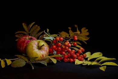 Wallpapers Still life Apples Food Image