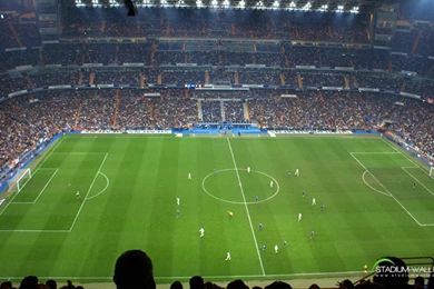 Lungs Nature Wallpaper: Hd Wallpapers For Desktop Football