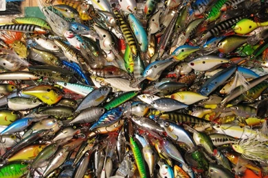 Gallery For Game Fishing Wallpapers