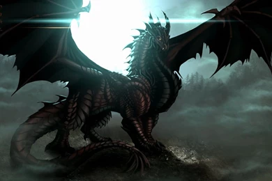 HD Targaryen Dragon Black Backgrounds Wallpapers / Wallpapers Database