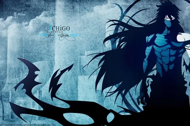 Download Ichigo Bleach Mugetsu Resolution Wallpapers 1920x1080 ...