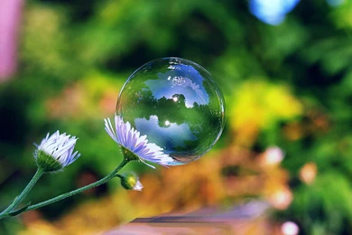 Bubbles Wallpaper Backgrounds