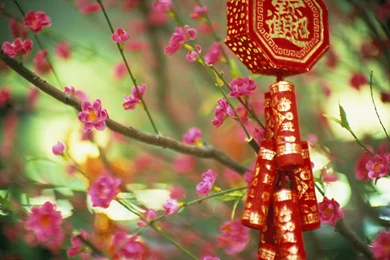 China Photo Wallpapers And Pictures From China / Page 3