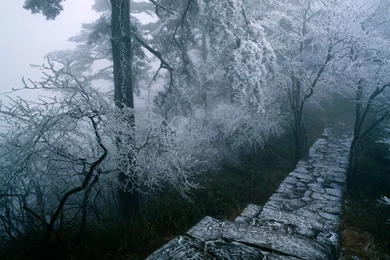 Free Screensavers And Wallpapers KScreensavers.com