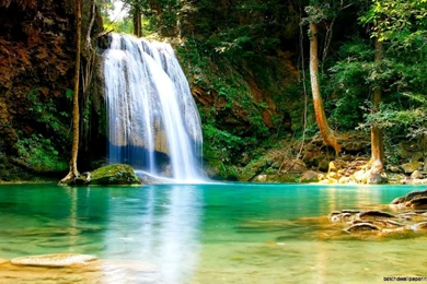 Nature Wallpapers Hd Free Download For PC