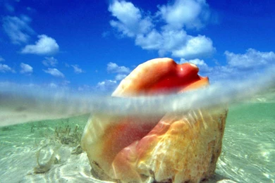 Wallpapers Ocean Wallpapers Cave