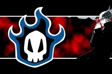 Logo Bleach Wallpapers 9851