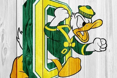 Ducks 2 White iPhone 5 iPhone Wood Wallpapers Photo Album By Lunaoso