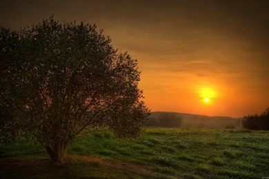 Mystic Wallpapers 77609