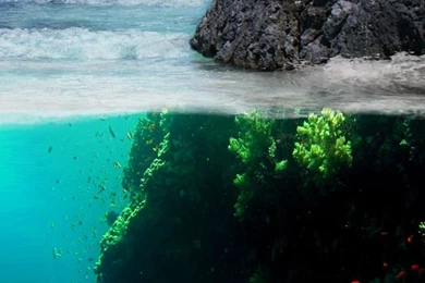 iPhone 5 Wallpapers HD Retina Ready, Stunning Wallpapers