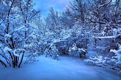 3k Ultrawide Wallpapers Collection Album On Imgur